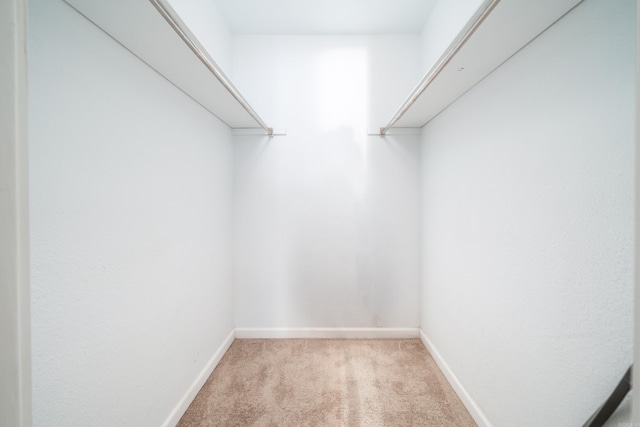 spacious closet with light colored carpet