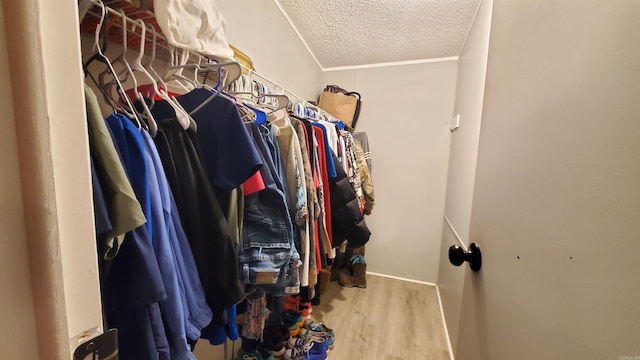 walk in closet with light hardwood / wood-style floors