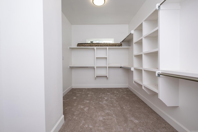 walk in closet with dark colored carpet