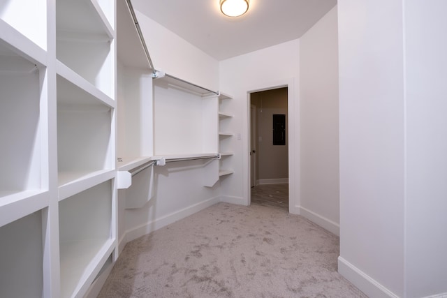 walk in closet with light carpet and electric panel