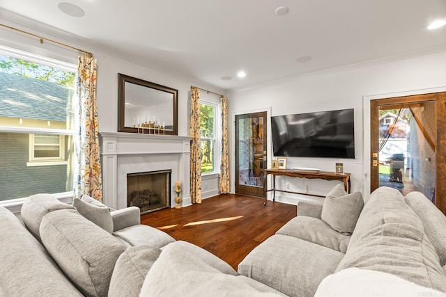 living room with wood-type flooring, a healthy amount of sunlight, and crown molding