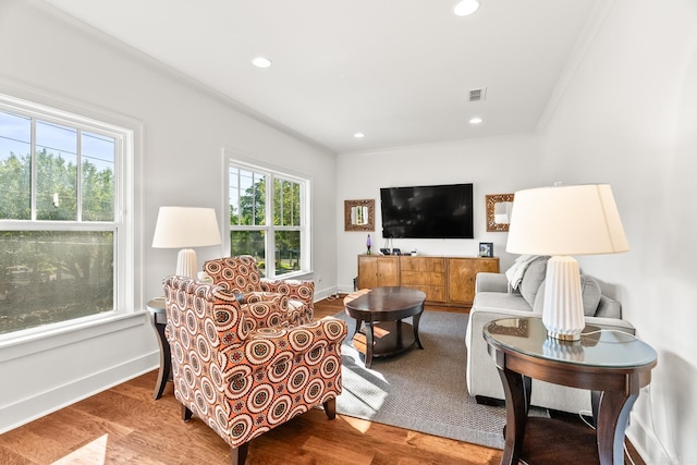 living room featuring hardwood / wood-style floors