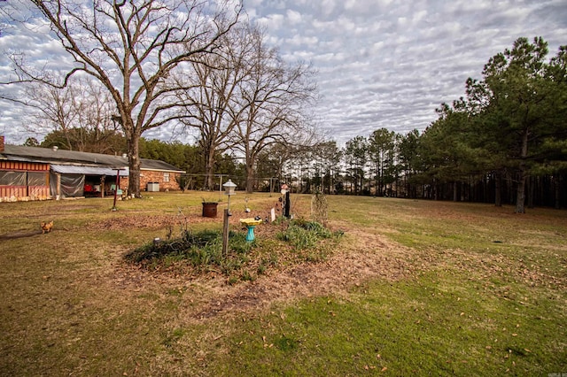 view of yard