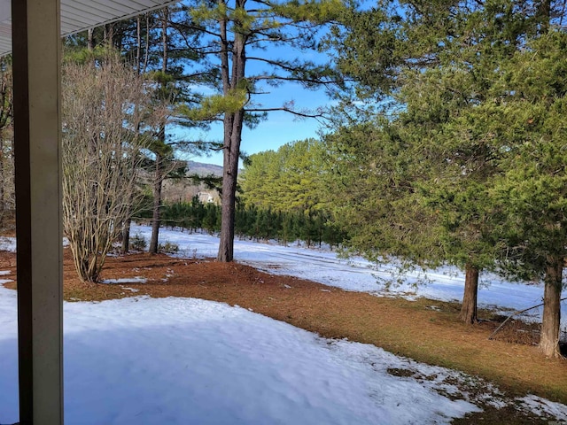 view of yard covered in snow