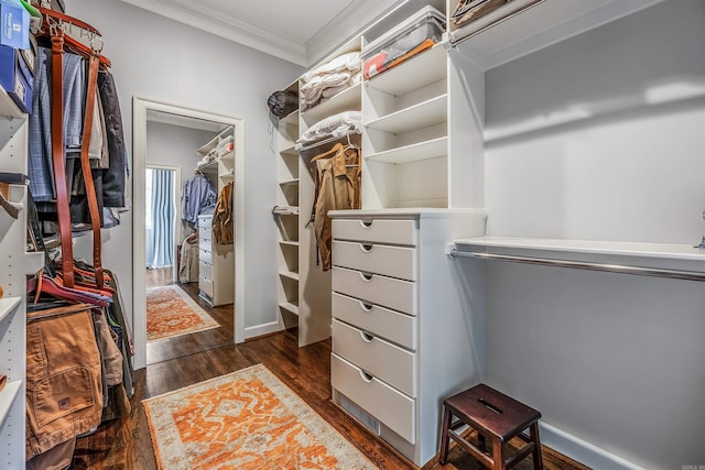 spacious closet with dark hardwood / wood-style floors