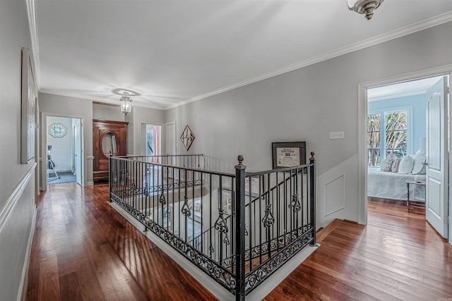 hallway featuring crown molding and dark hardwood / wood-style floors