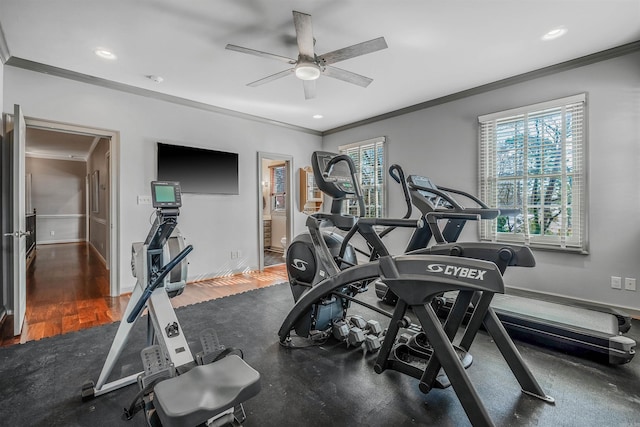 workout room with ceiling fan, crown molding, and dark hardwood / wood-style flooring