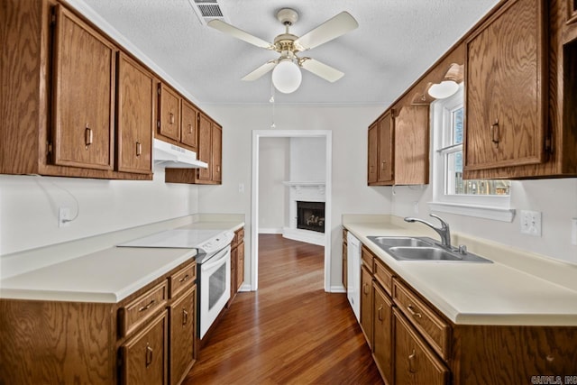 kitchen featuring white appliances, ceiling fan, dark wood-type flooring, a fireplace, and sink