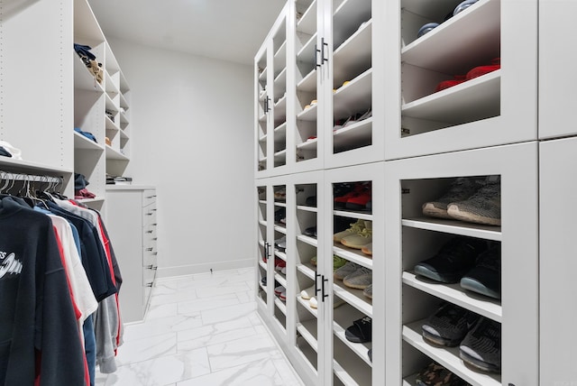 view of walk in closet