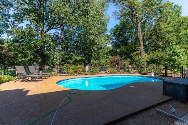 view of swimming pool with a patio