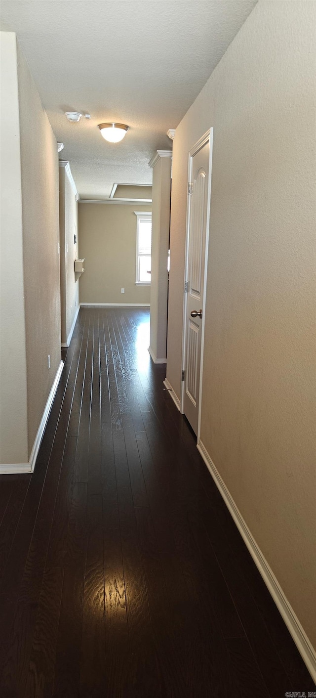 hall featuring dark hardwood / wood-style floors