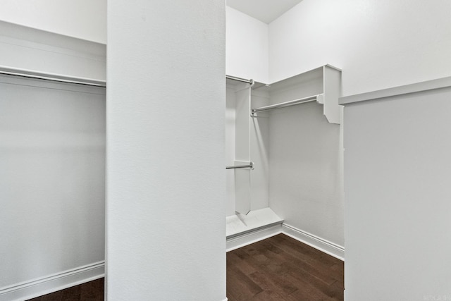 spacious closet with dark hardwood / wood-style flooring