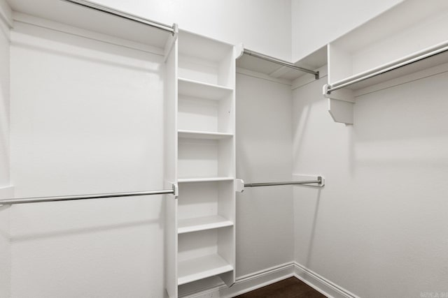 walk in closet with dark hardwood / wood-style floors