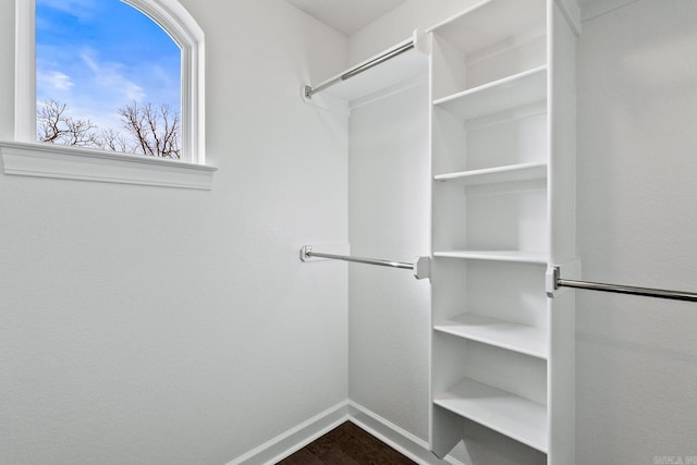 walk in closet with hardwood / wood-style floors