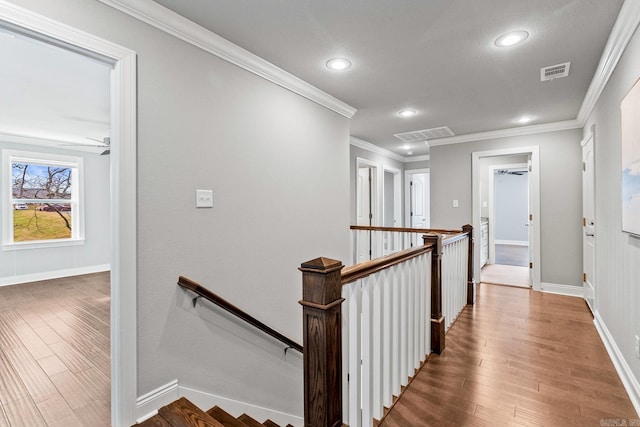 corridor featuring crown molding and dark hardwood / wood-style floors