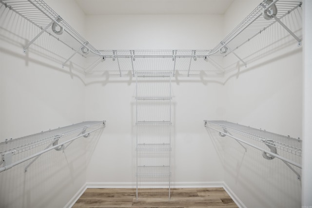 walk in closet featuring hardwood / wood-style floors