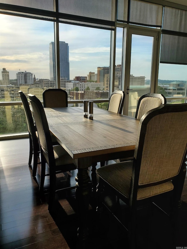 dining space featuring a healthy amount of sunlight, dark wood-style floors, and a view of city