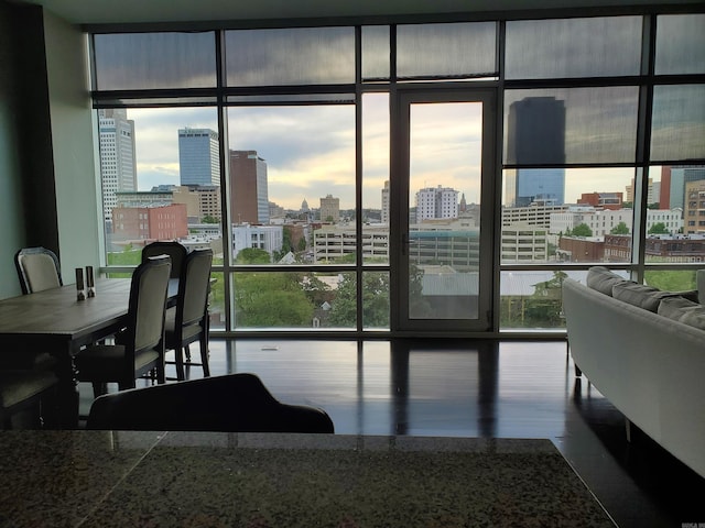 interior space with a healthy amount of sunlight and a wall of windows