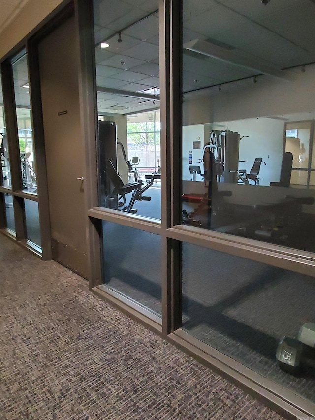 workout area featuring carpet floors and a drop ceiling