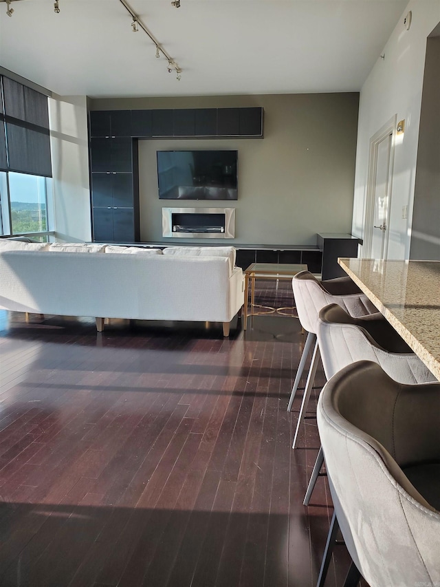 living room with rail lighting and dark hardwood / wood-style flooring