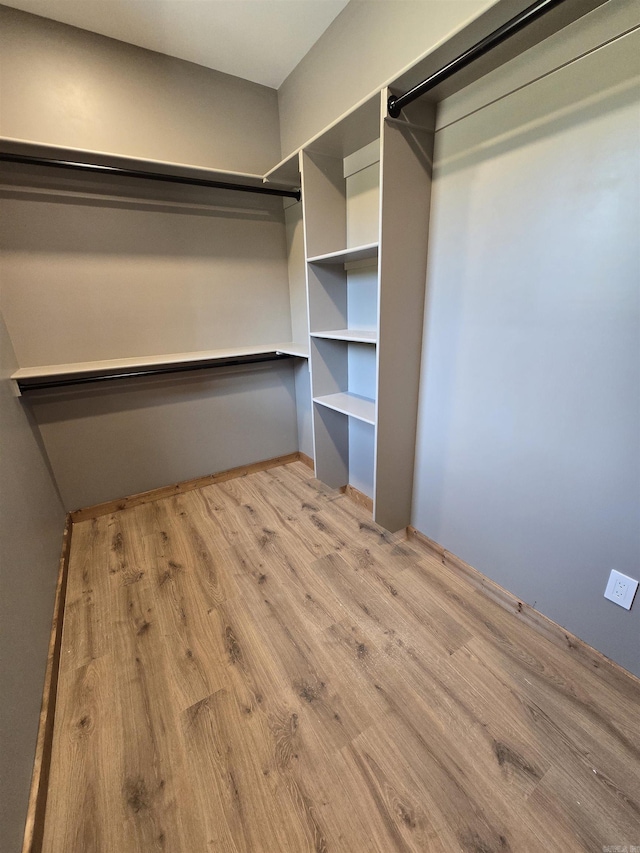 spacious closet with light wood-type flooring