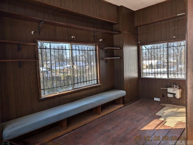 mudroom featuring a healthy amount of sunlight, dark hardwood / wood-style flooring, and wood walls