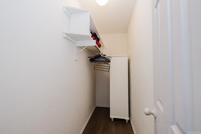 spacious closet featuring dark wood-type flooring