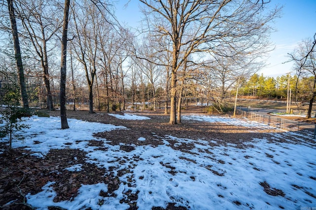 view of snowy yard