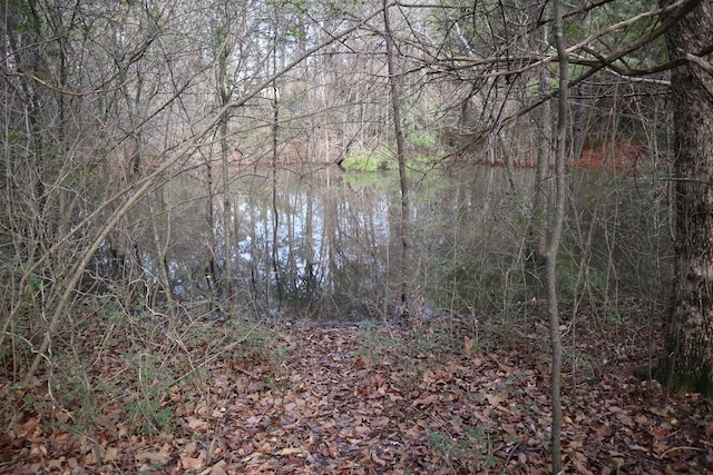 view of local wilderness with a water view