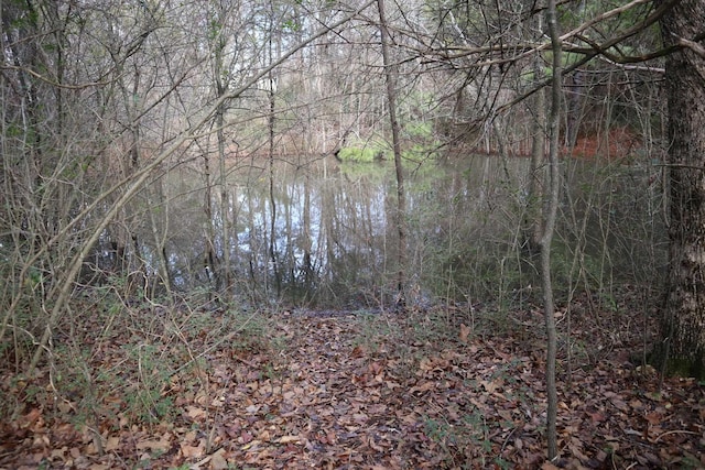 view of nature with a water view