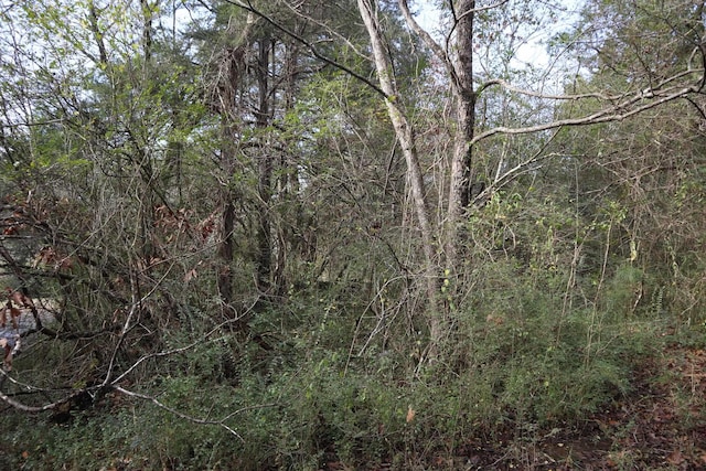 view of local wilderness