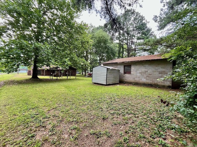 view of yard with a storage unit