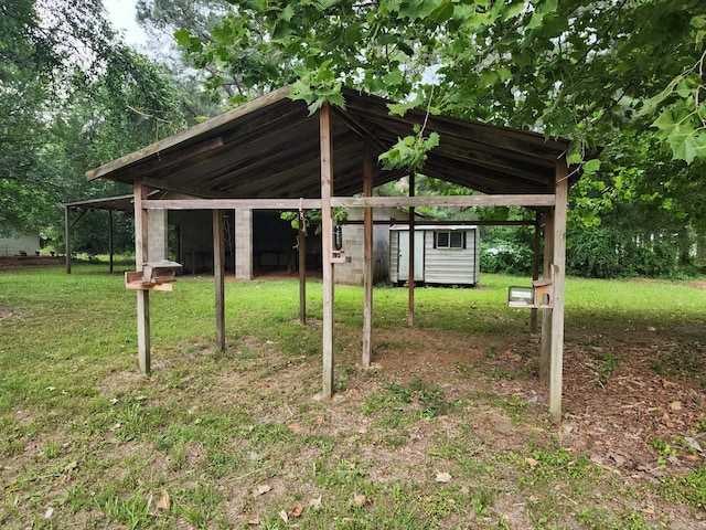 view of yard with a shed