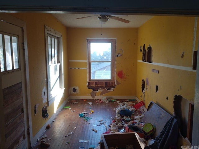 misc room featuring ceiling fan and wood-type flooring