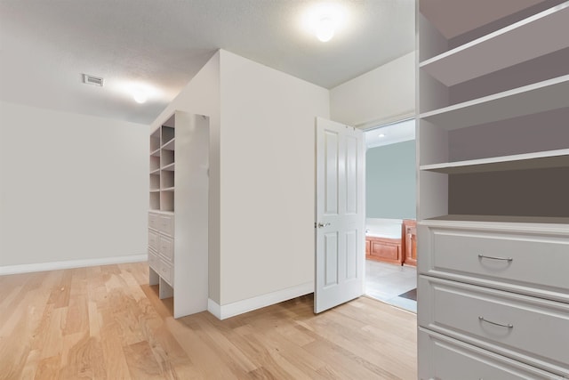 spacious closet with light wood-type flooring