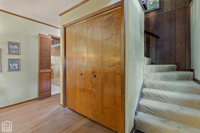 stairs with hardwood / wood-style floors