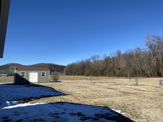 view of yard with a storage shed