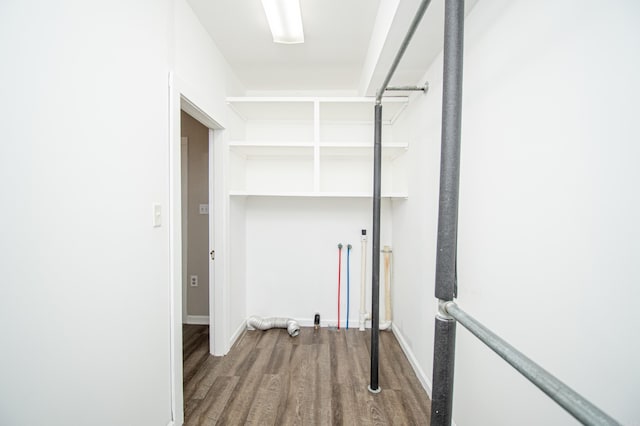 walk in closet with hardwood / wood-style floors