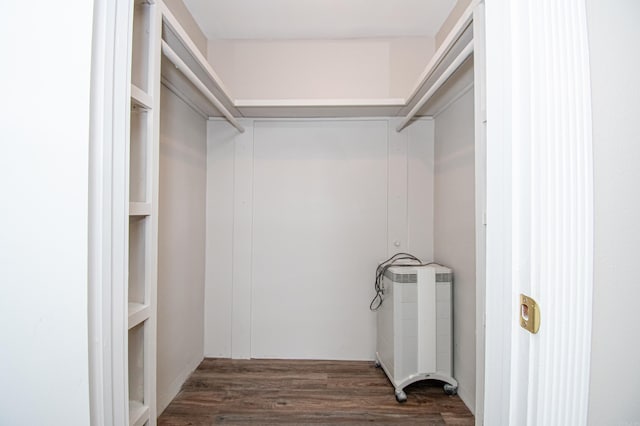 walk in closet featuring dark hardwood / wood-style floors