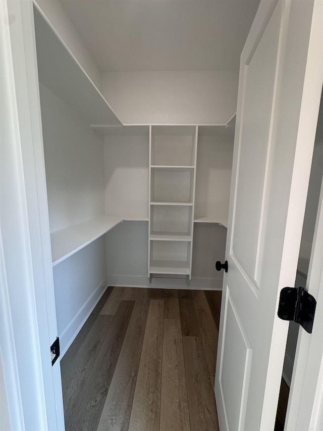 spacious closet featuring dark hardwood / wood-style floors