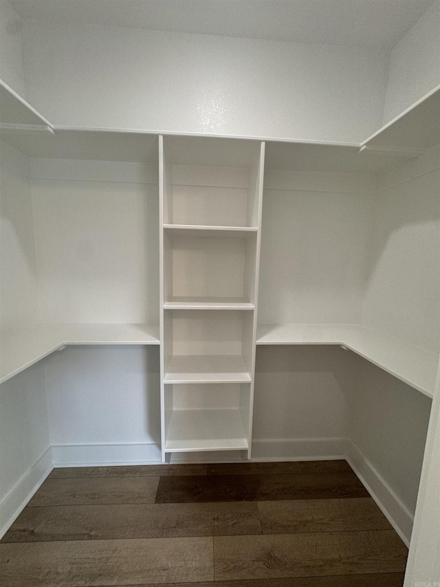 walk in closet with dark hardwood / wood-style flooring