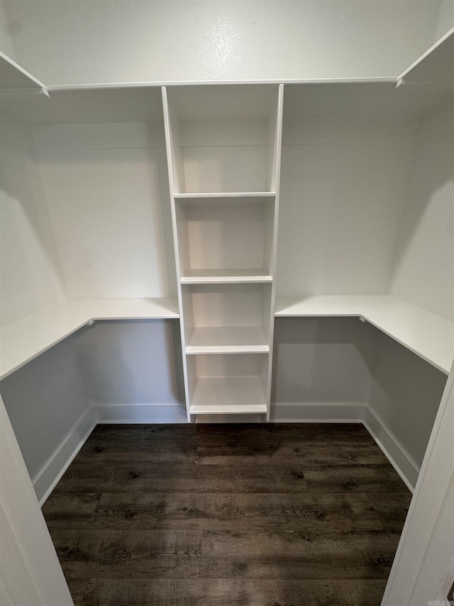 walk in closet with dark hardwood / wood-style floors