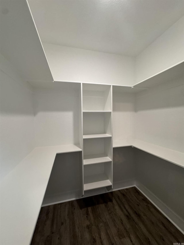 walk in closet with dark wood-type flooring