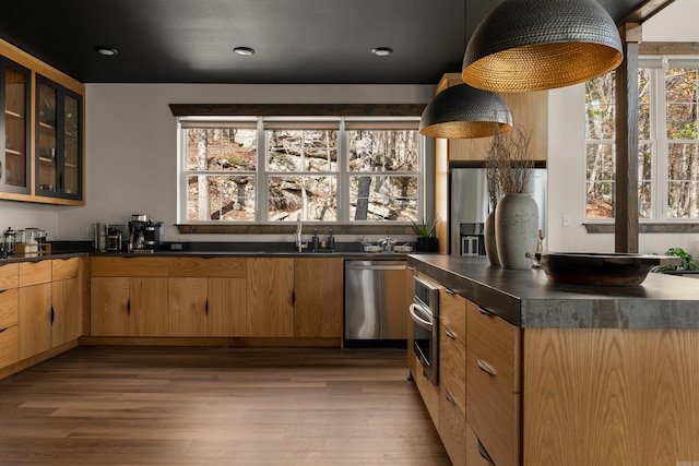 kitchen featuring appliances with stainless steel finishes, hanging light fixtures, light hardwood / wood-style floors, and sink