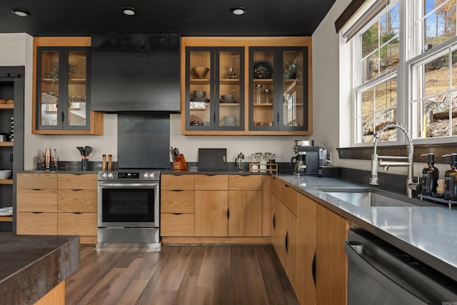 kitchen featuring sink, black dishwasher, ventilation hood, electric range, and dark wood-type flooring