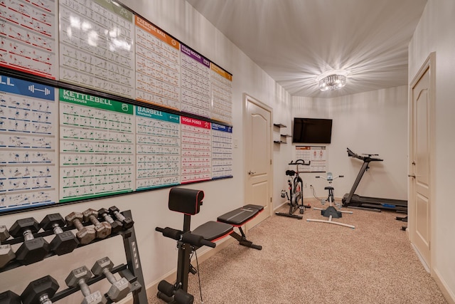 workout area with carpet floors