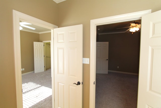 hall featuring ornamental molding and carpet flooring