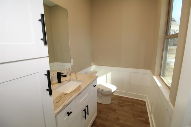 bathroom featuring toilet, vanity, and wood-type flooring