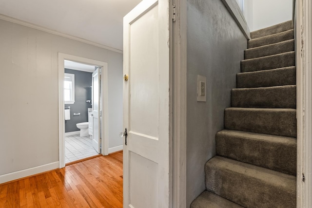 stairway featuring wood-type flooring and crown molding