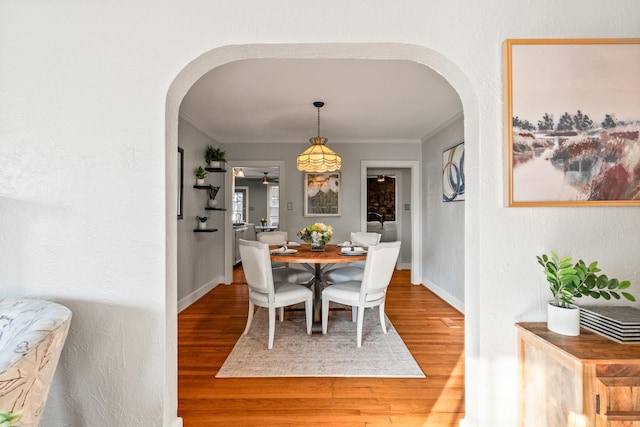 dining area with ceiling fan, hardwood / wood-style floors, and ornamental molding